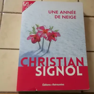 Une année de neige